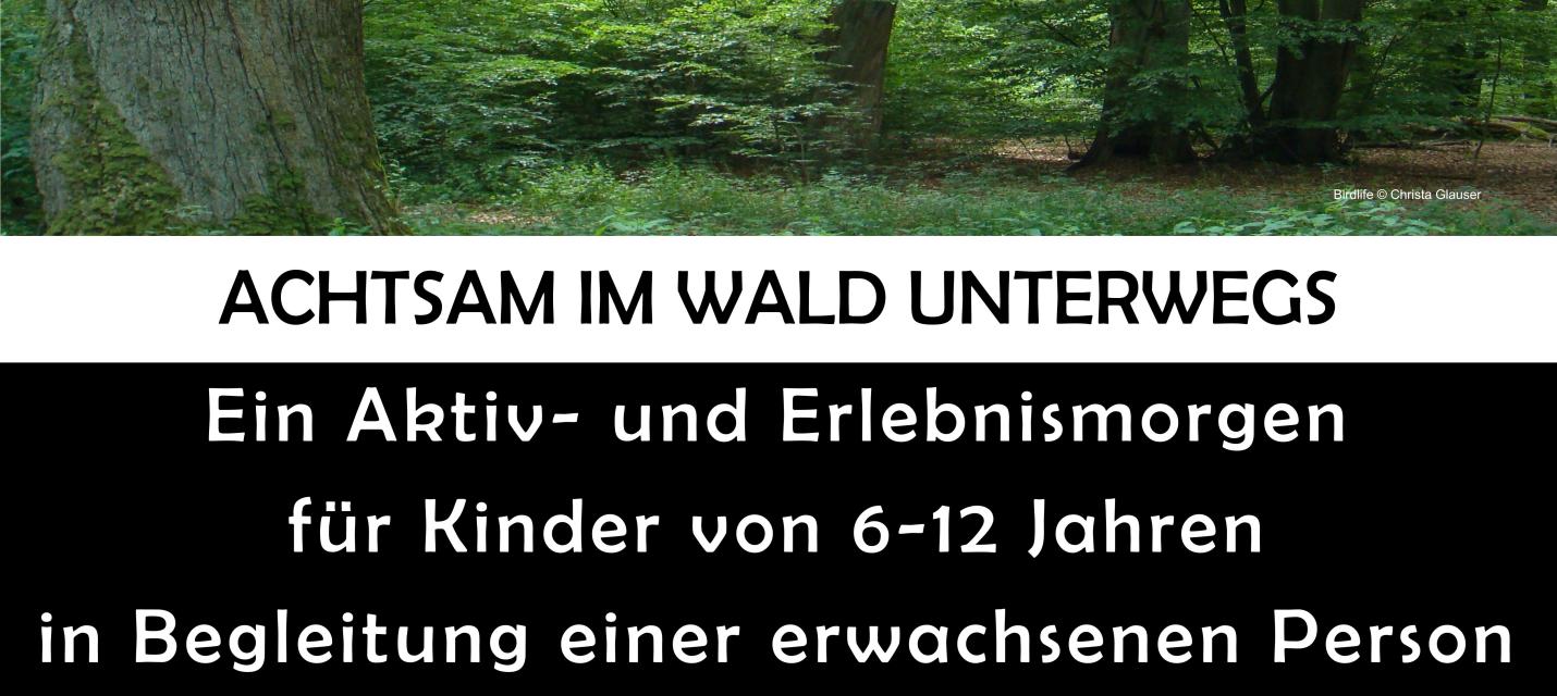Achtsam im Wald unerwegs