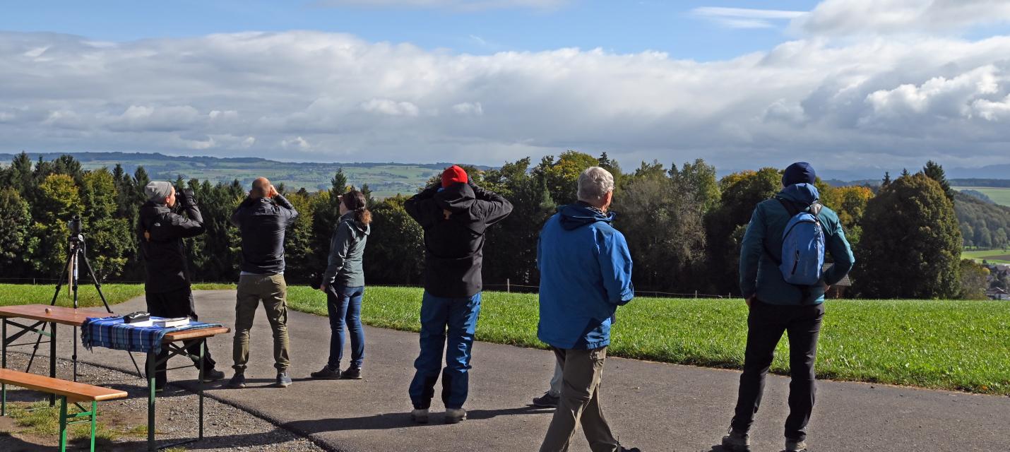 Erster EuroBirdwatch auf dem Butteberg