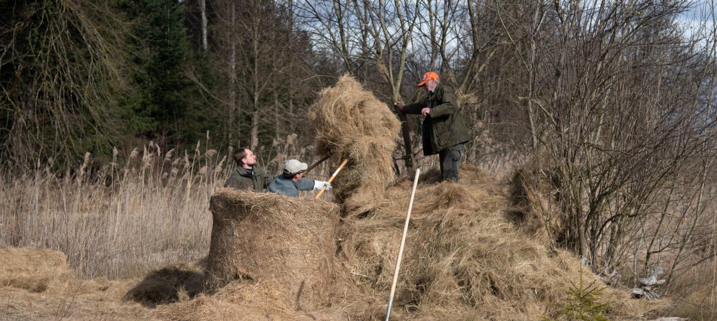 Verteilen der Heuhaufen